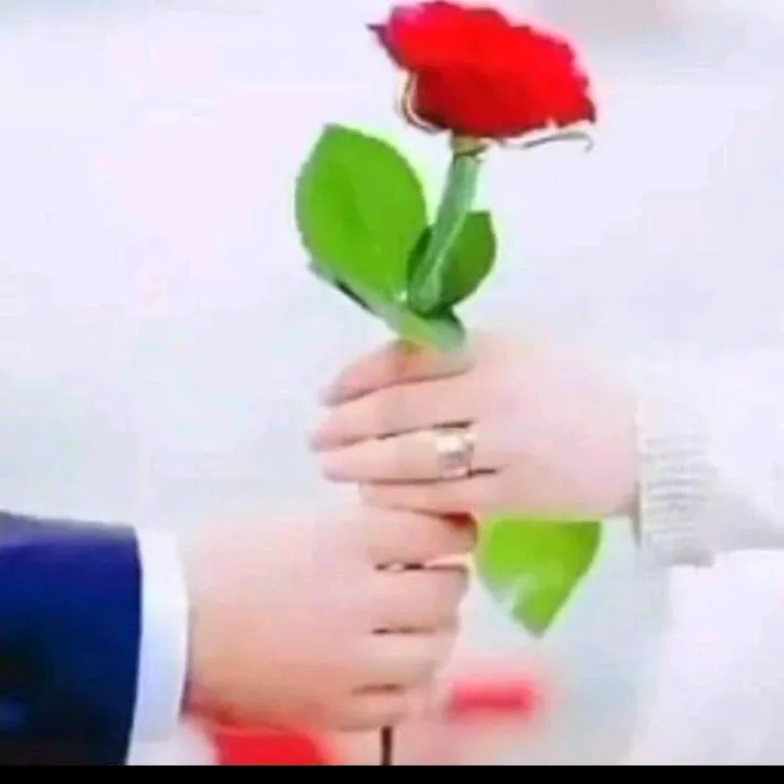 @amranaadan2233