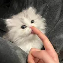 @jasper._vibes