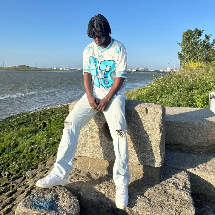 favrish_soundd