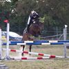 sportpony_donar