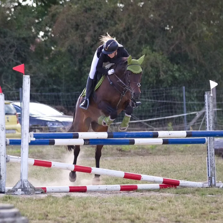 @sportpony_donar