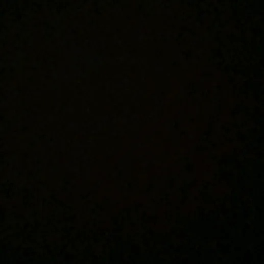 @sofi__pernici__