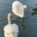 @easy_cookingyt