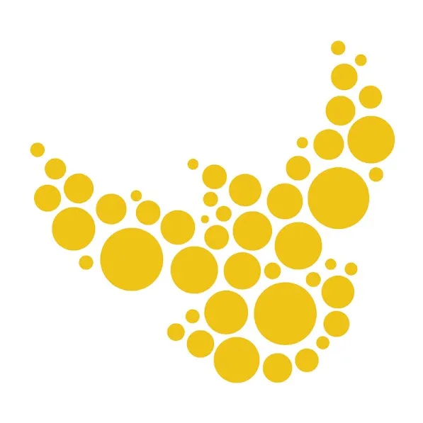 theseed.ca