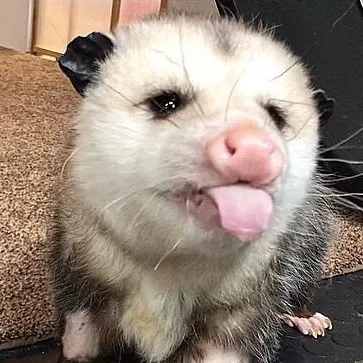 toadlikesmilk