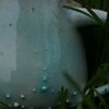 lupinepottery