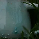 @lupinepottery