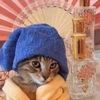 oatmilk_dot_gov