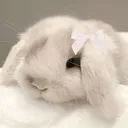 @darcey_v30