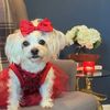 missbeautifulmolllie