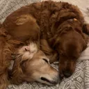 @the_baxter_bunch