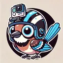 @jfilms_rollerderby