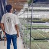 micosmicrofarm