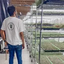@micosmicrofarm