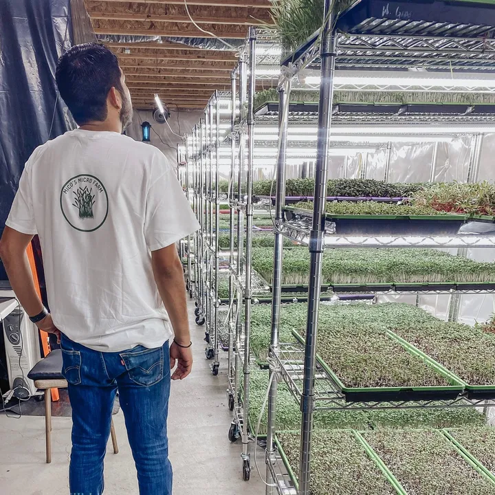 micosmicrofarm