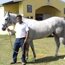 @arturoflores1304