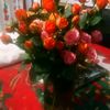 yayis446