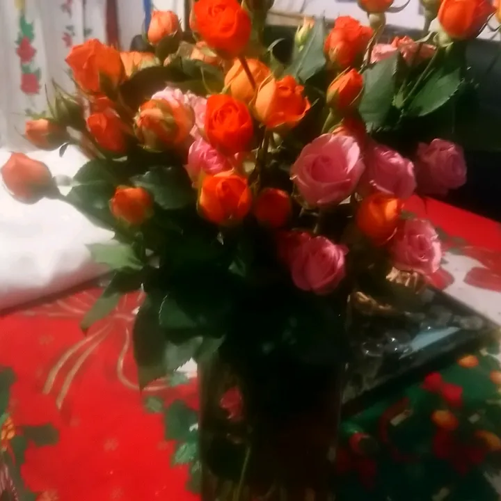 @yayis446