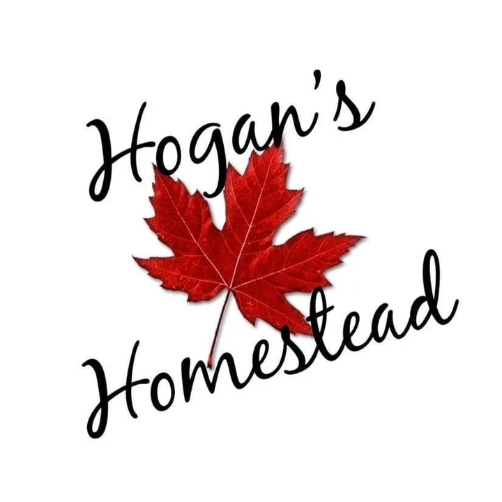 thehoganns