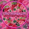 videosfordayz1