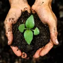 @plantslife31