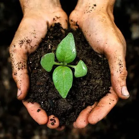 @plantslife31
