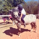 @lequestrian.nn
