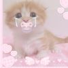 mutedmeows