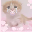 @mutedmeows