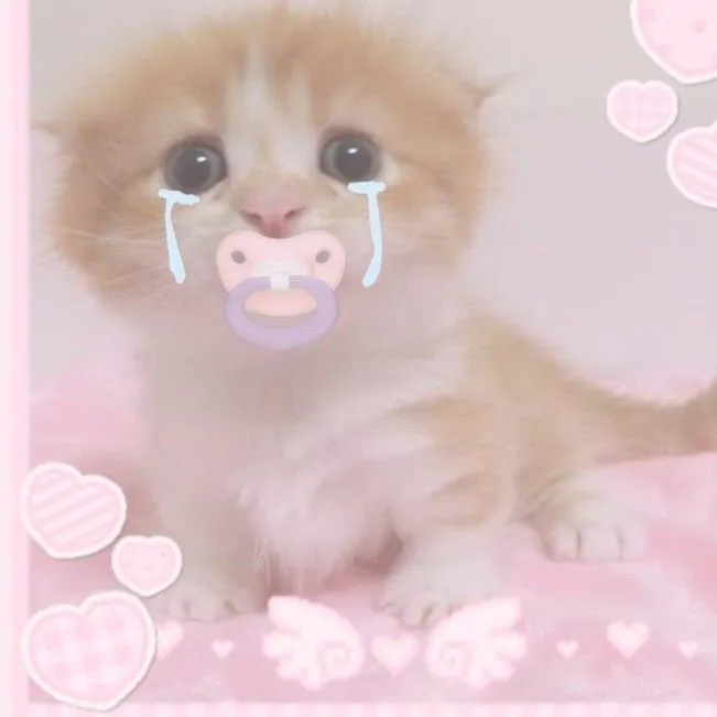 @mutedmeows