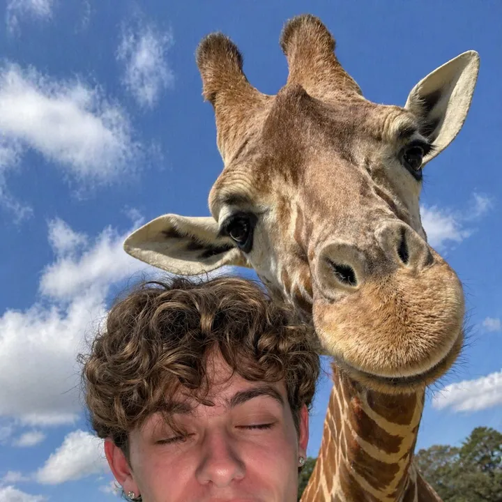 fabianerdalll