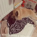@_mix752