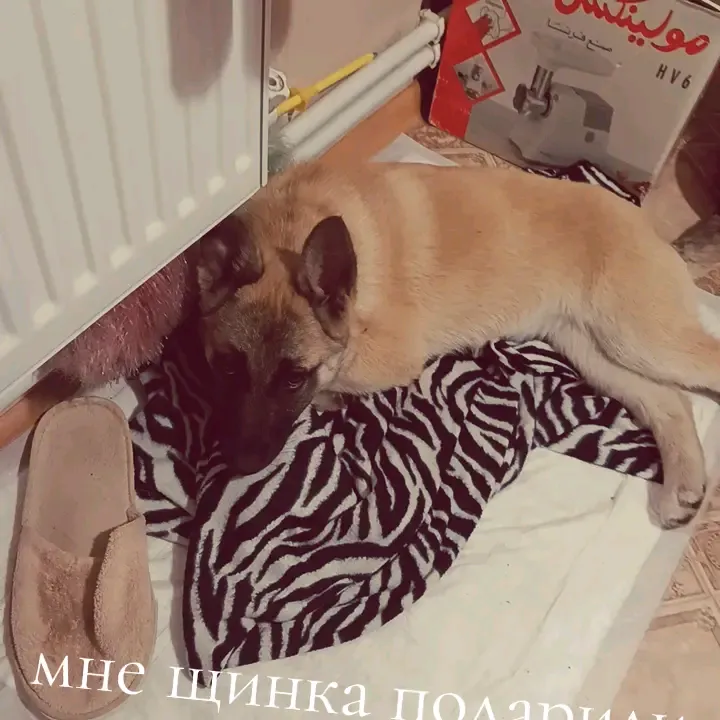 @_mix752