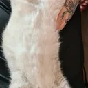 @stnena1