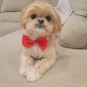 @ozzyboyandjenn