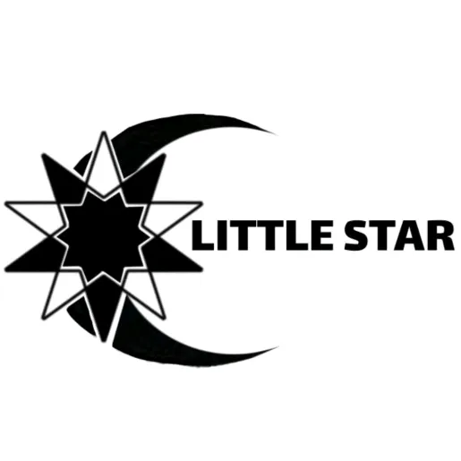 @littlee.star_dc