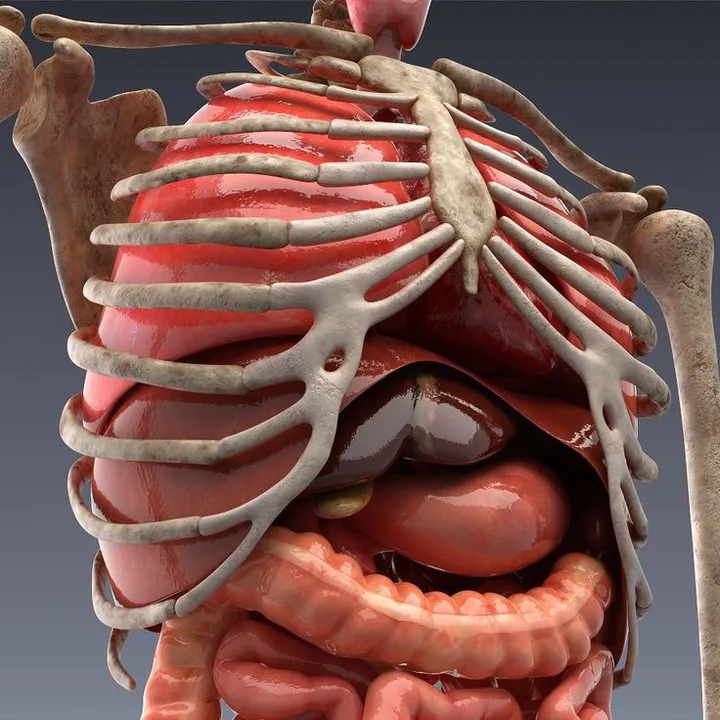 @humanscope
