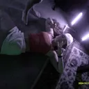 @supersecretpubspam67