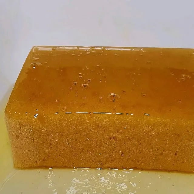 spongetok_