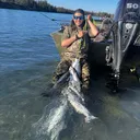 @ramsey_the_kingfisher