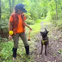 @kvk9training