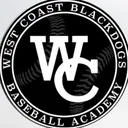 @wcblackdogs.ie