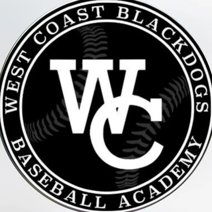 @wcblackdogs.ie