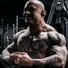 _jb_fit
