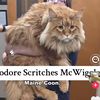 theodore.scritche