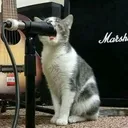 @my.indie.playlist