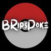bripspoke