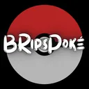 @bripspoke