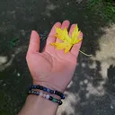 @ariessoulimpermanence