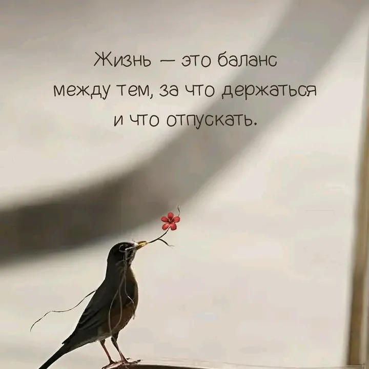 @finestatus_67